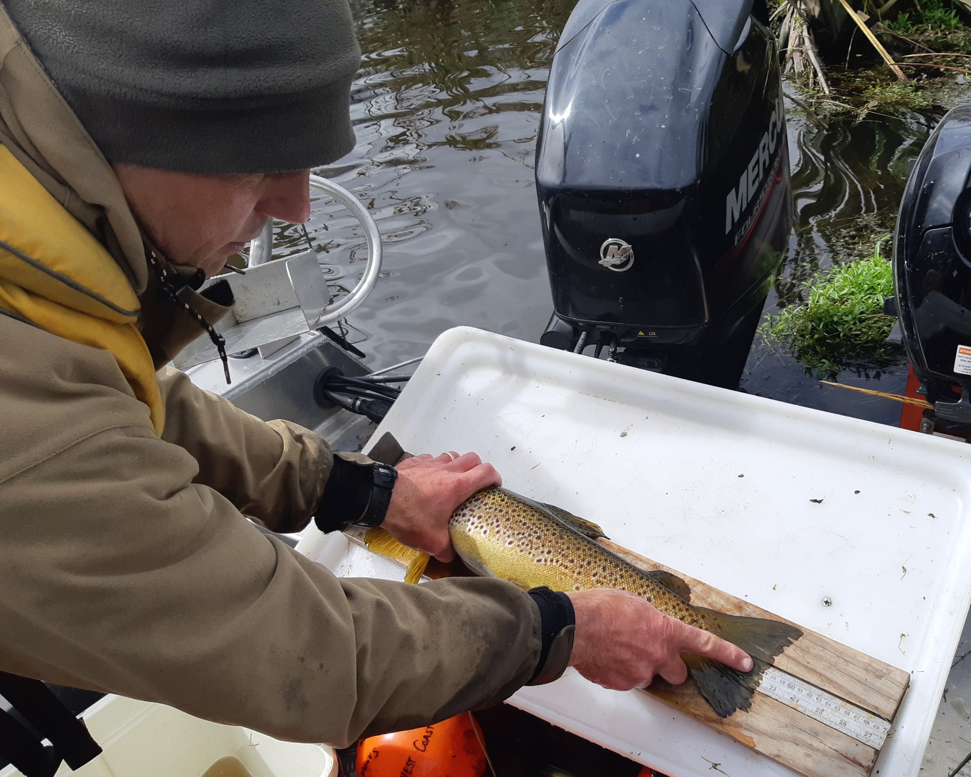 WC2 RL November 2019