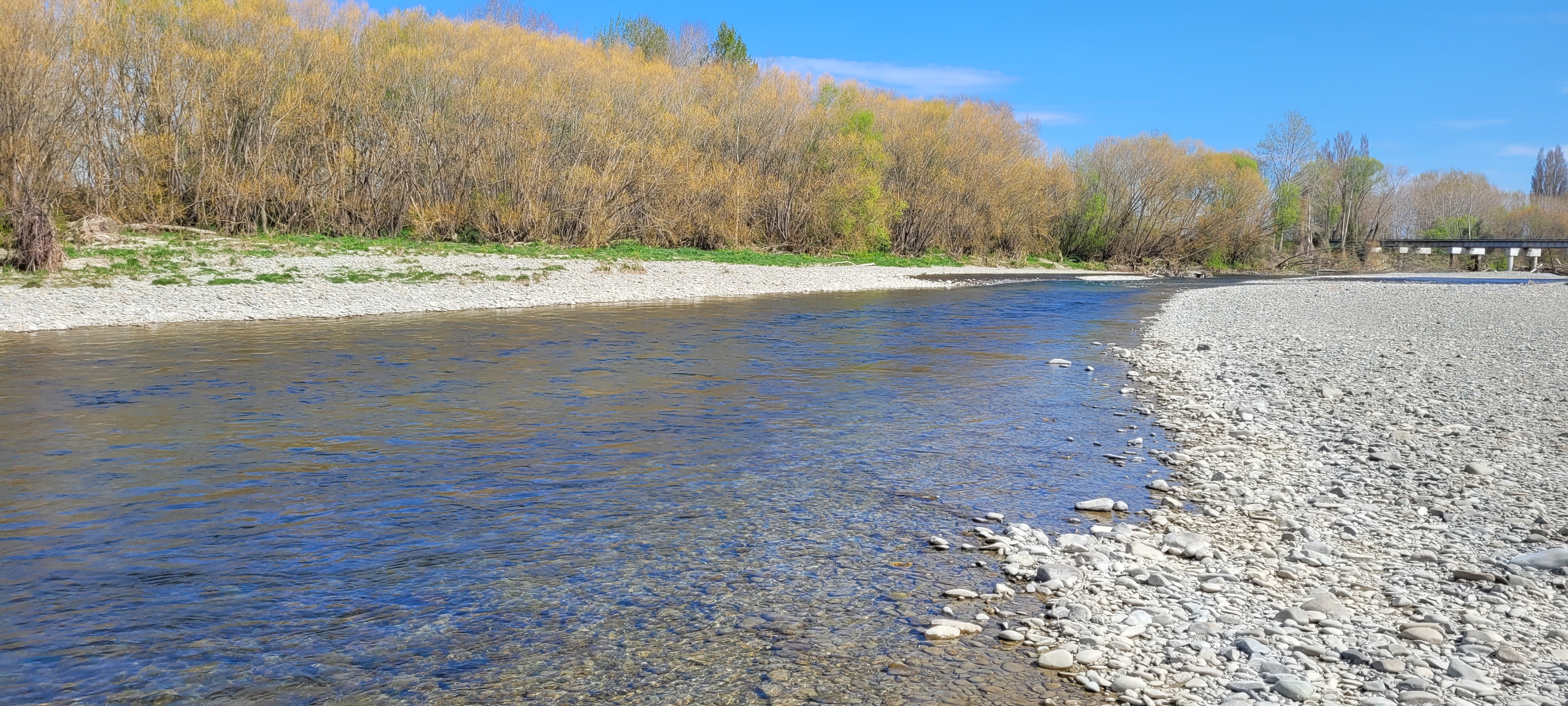 WFR2223.02 Opihi River near SH1 just a couple days before opening 3 trout were spotted in this run Photo by Rhys Adams