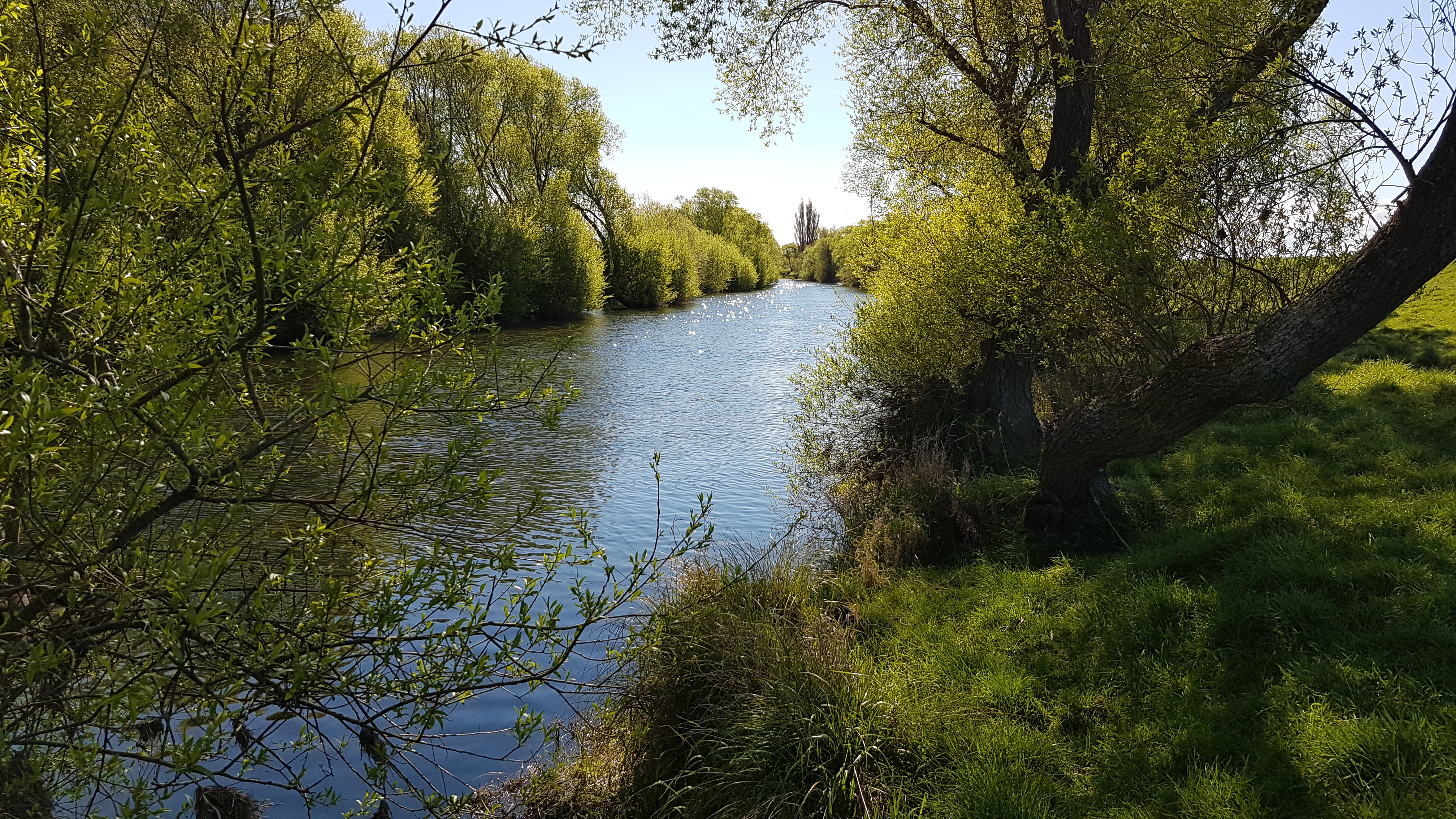 WFR 1 Lower Selwyn River. Ideal water for softbaiting