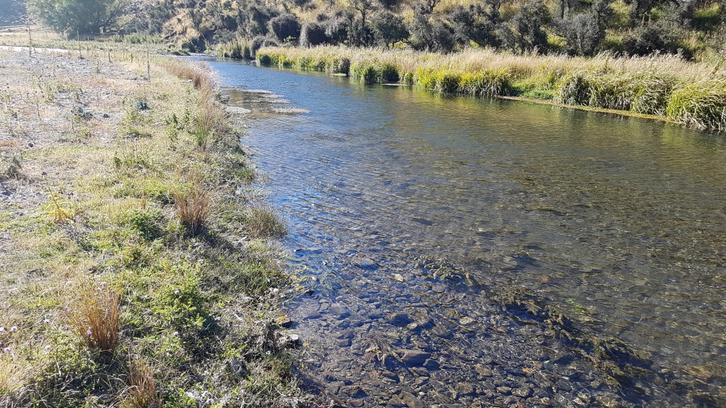 WFR upper Selwyn
