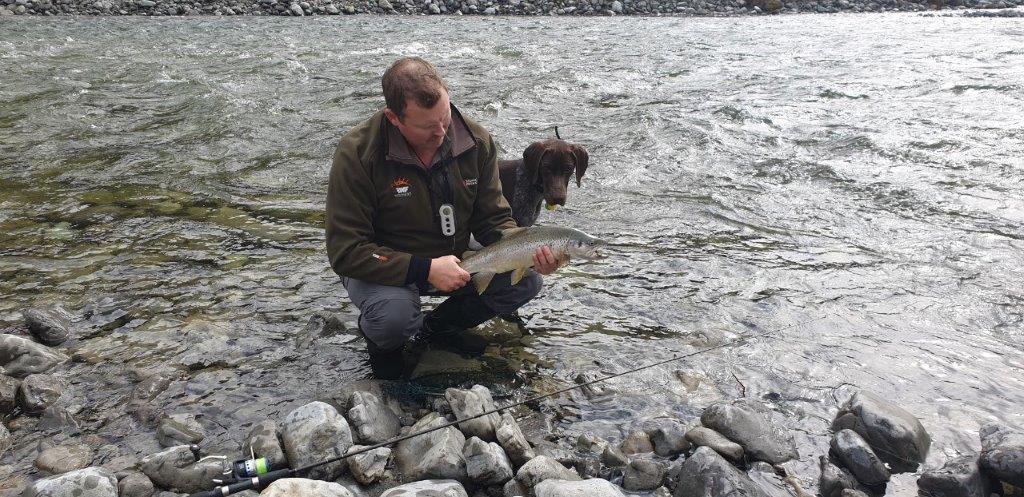 WFR 3 Blaze watches with interest as a well conditoned young fish is quickly photographed then released