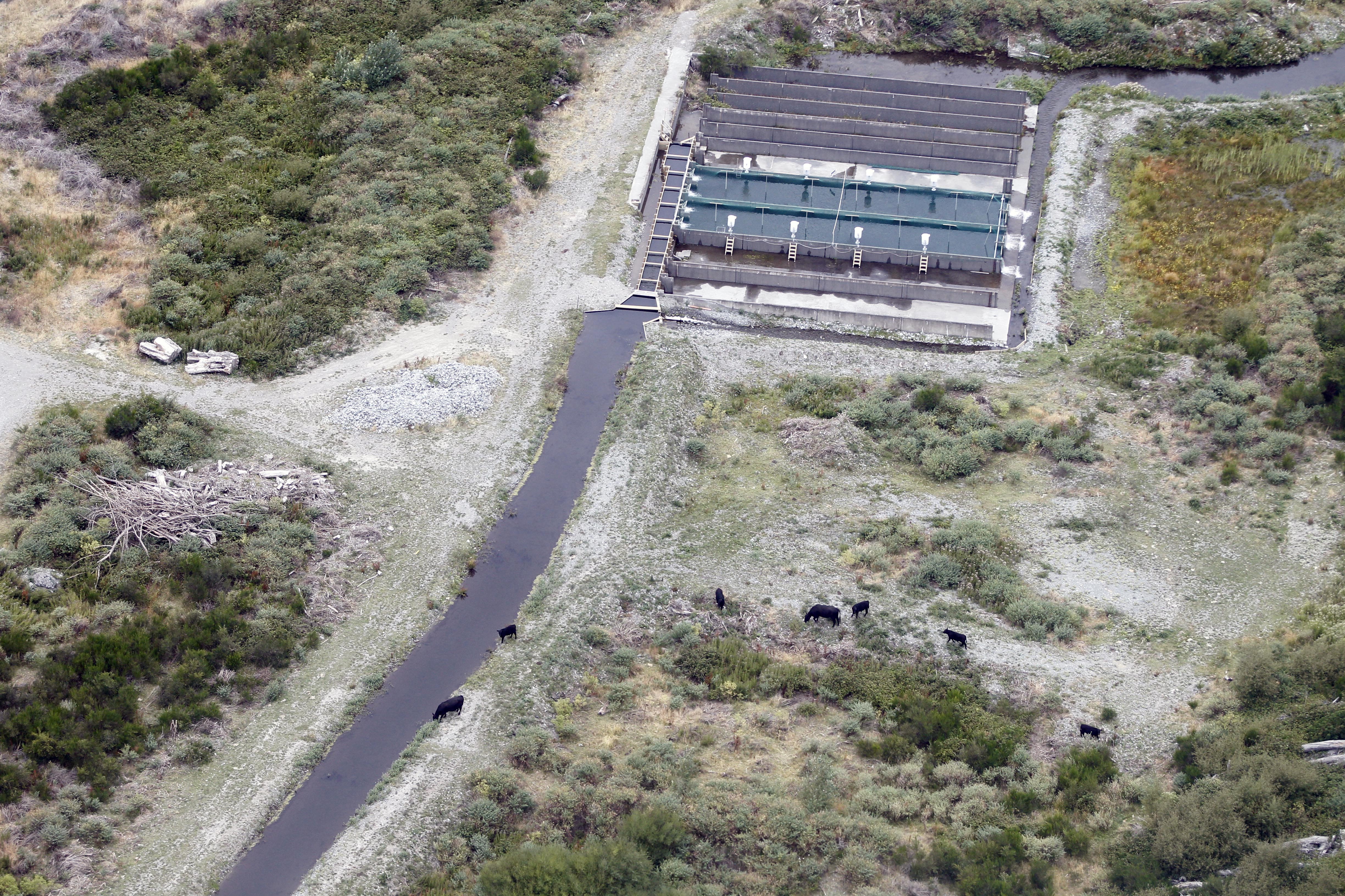 whisky creek
