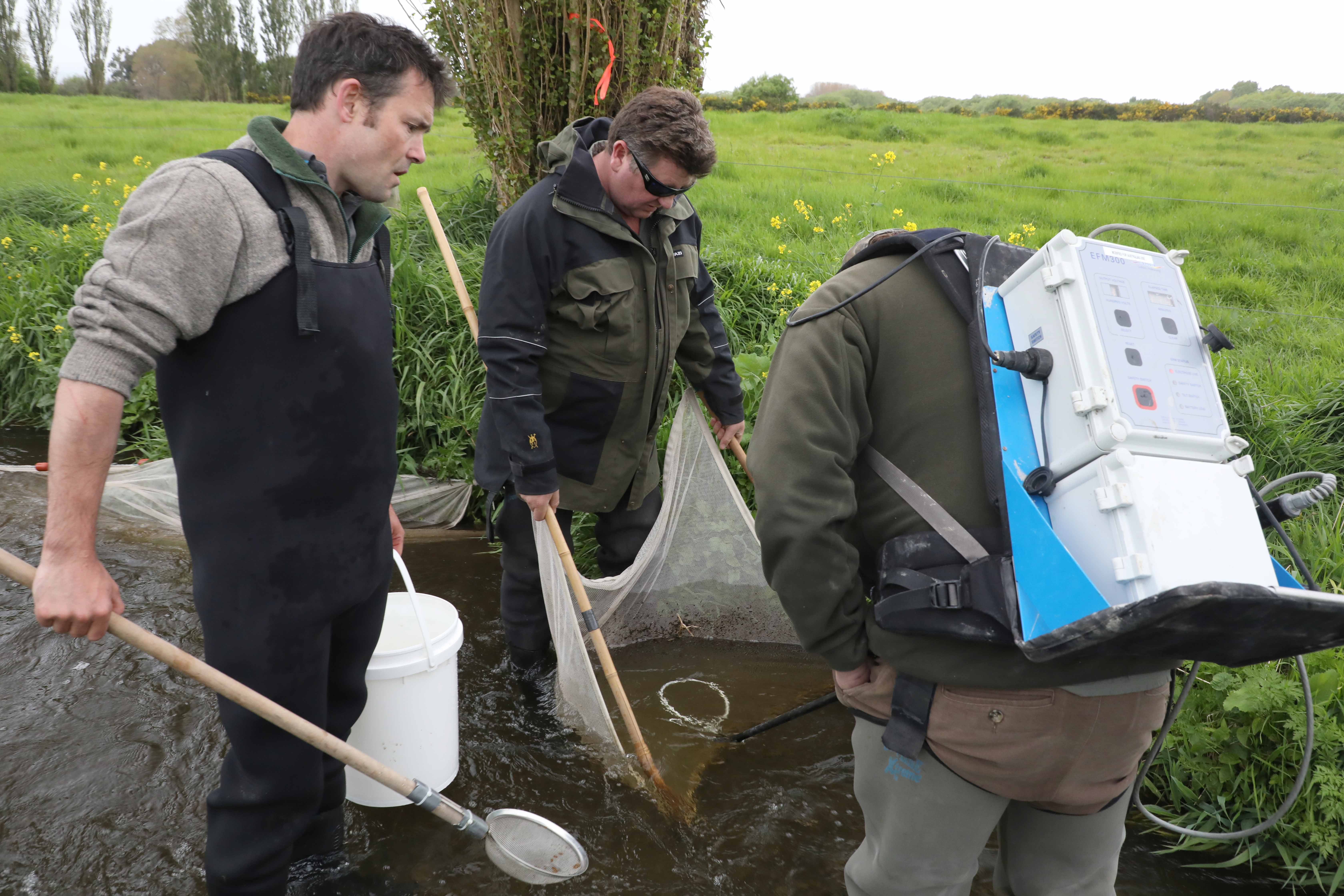 FGNZ NC SnakeCreeksampling4