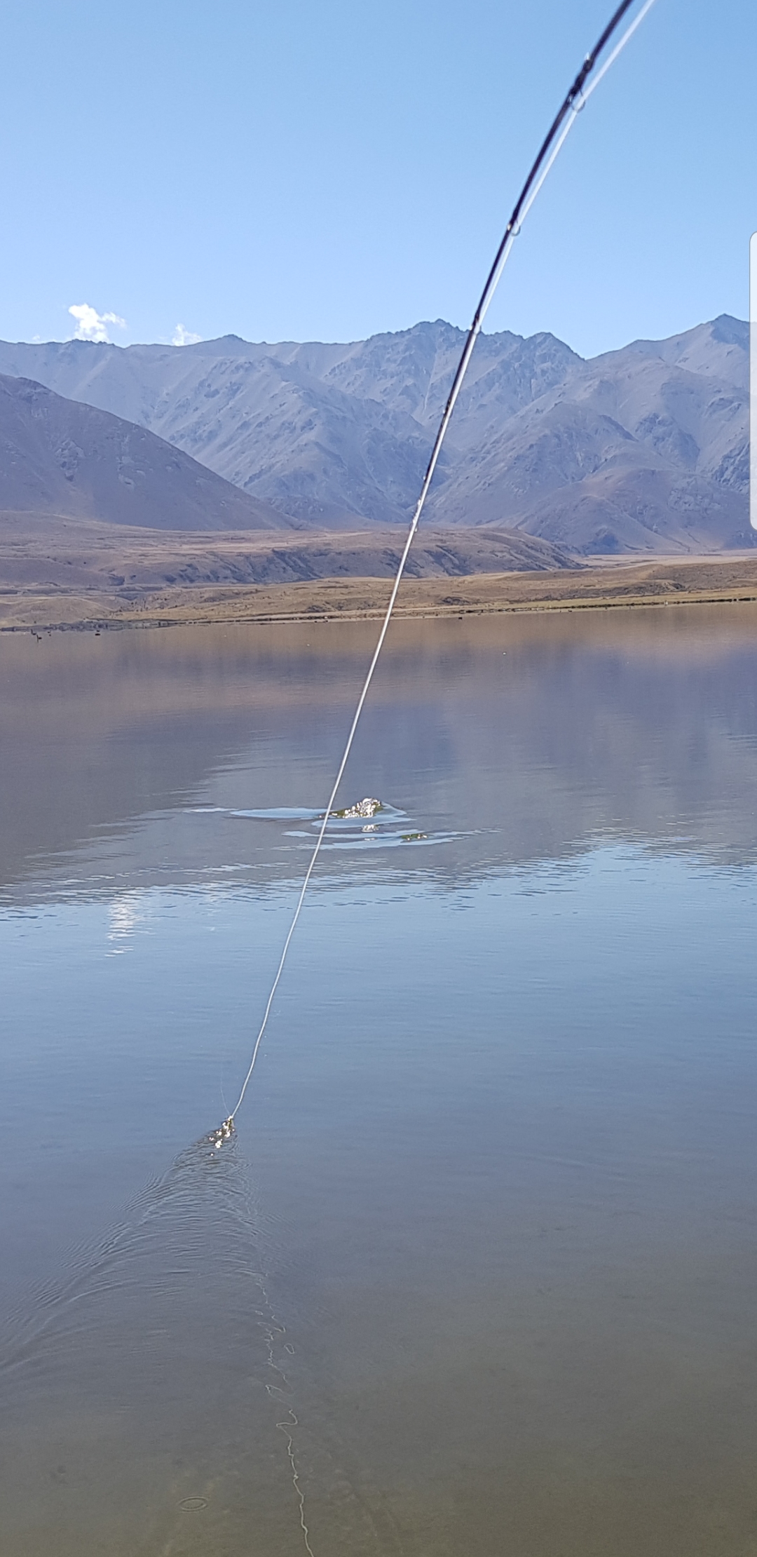 WFR 1920.44 The surprise strike at Lake Heron Credit David Melhuish
