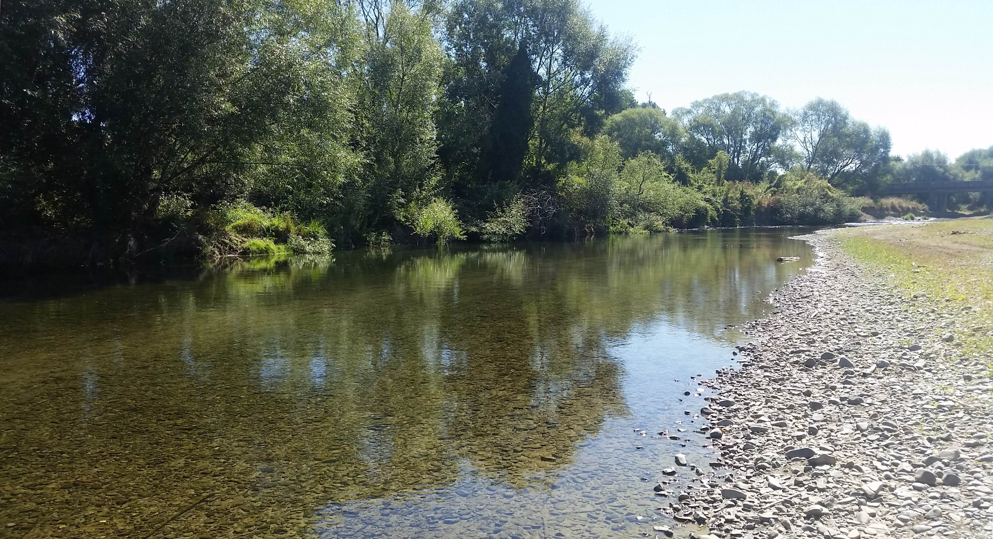 WFR1819.47 The Temuka River at Manse Bridge
