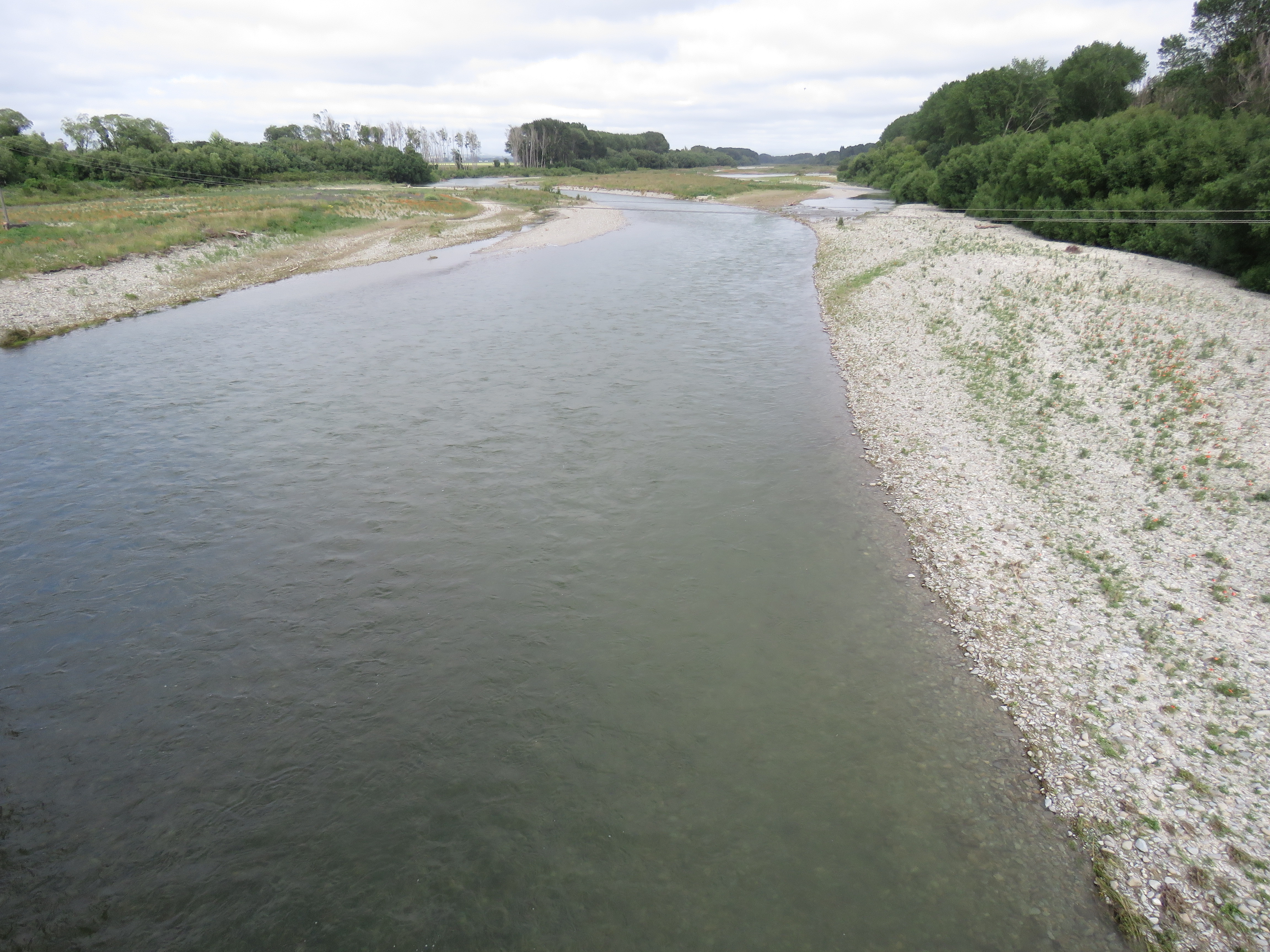 WFR2122.39 the Opihi River at SH1 looking perfect for spin fishing on Thursday 23 of December