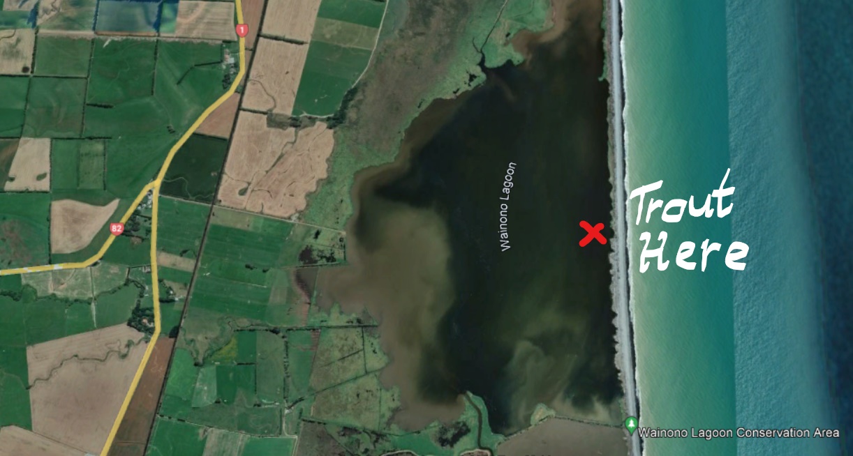 WFR2122.58 Although better known for its game bird hunting Wainono Lagoon is an off the radar trout fishery LI 2
