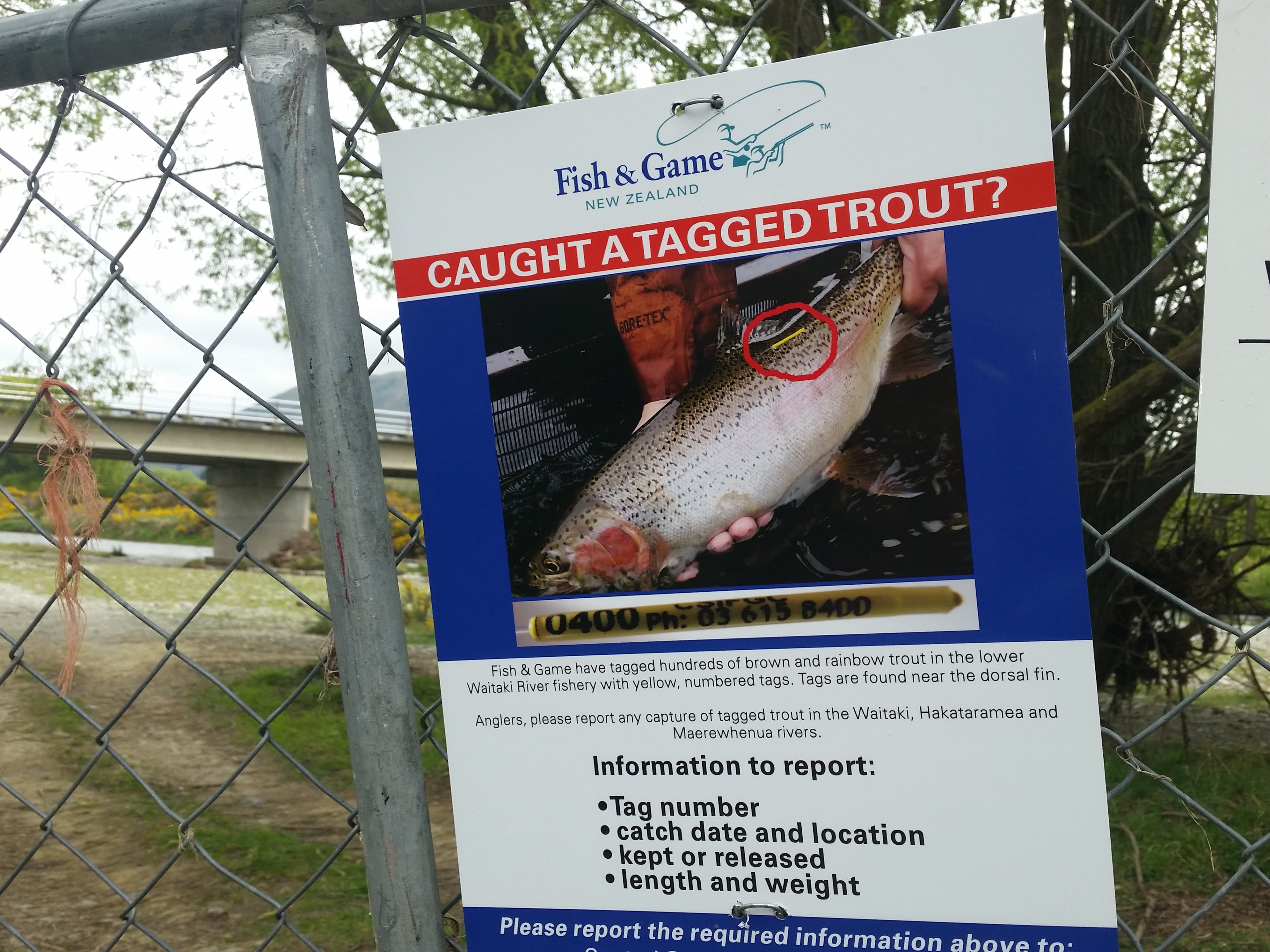 WFR1819.03Signage has been installed at angler access points to alert anglers to the tagging project