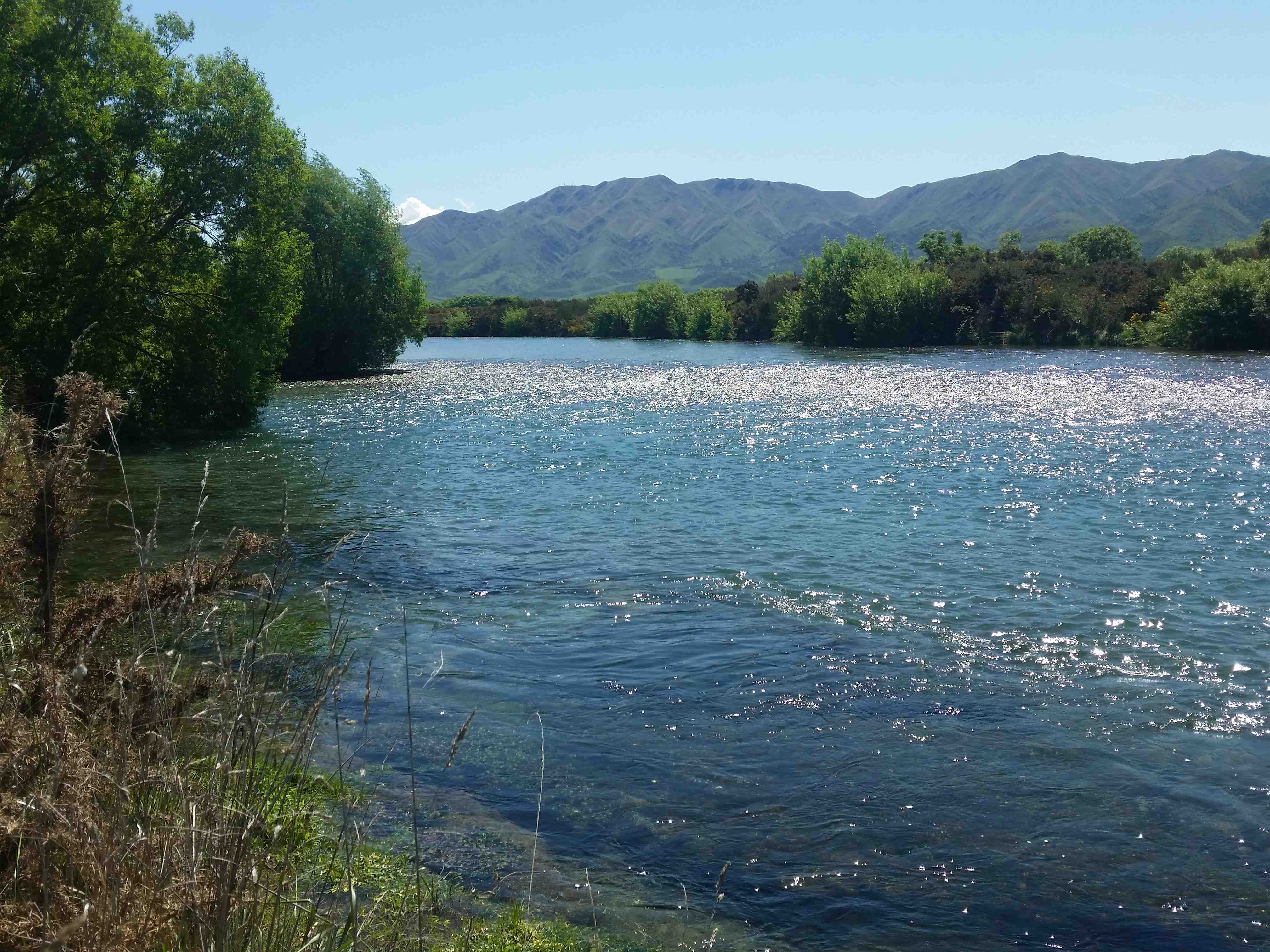 WFR1819.09 The stable Waitaki River side braid reached via the Otekaieke access point