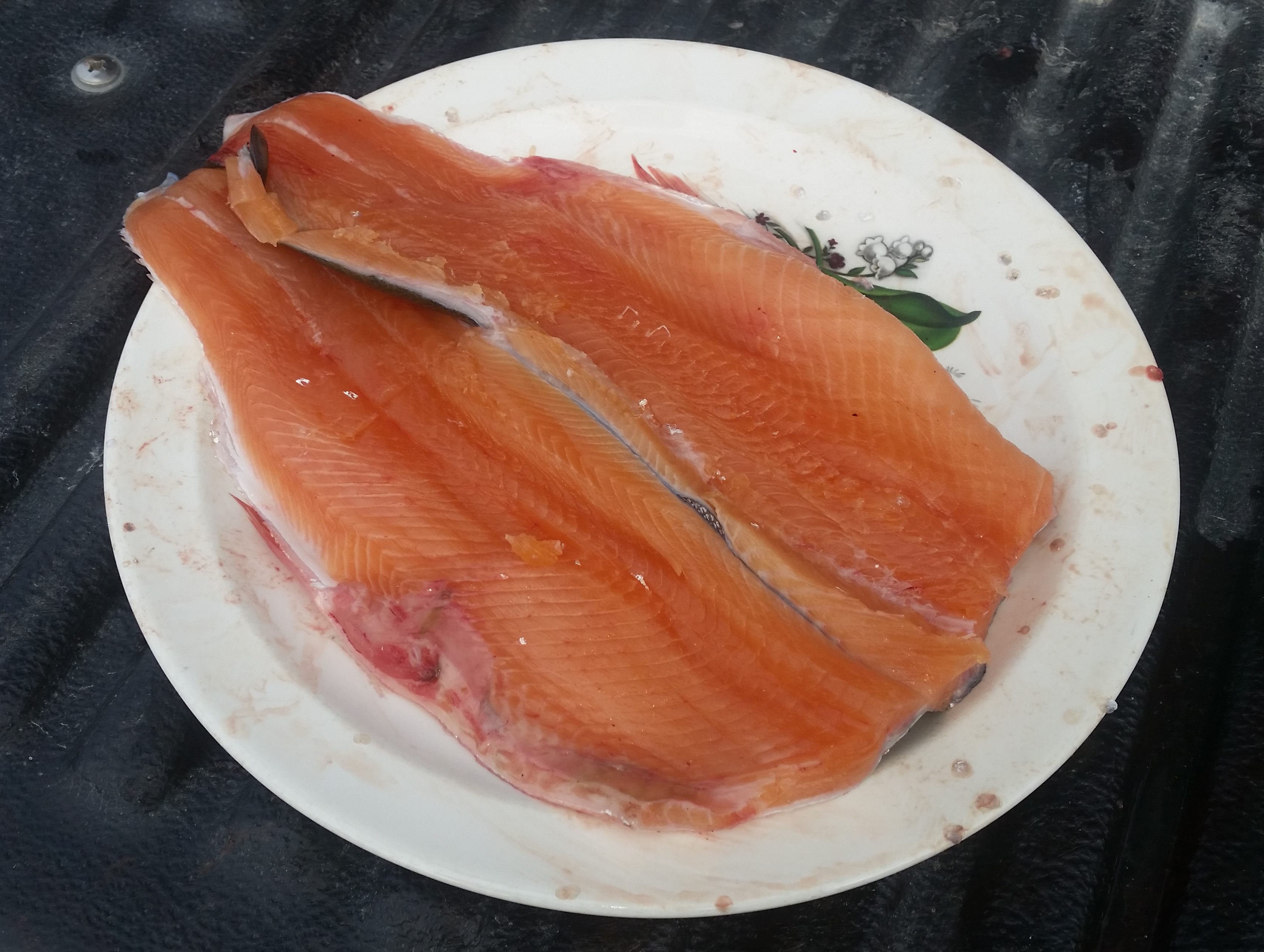 WFR1819.23Jaydes sockeye prepared for smoking