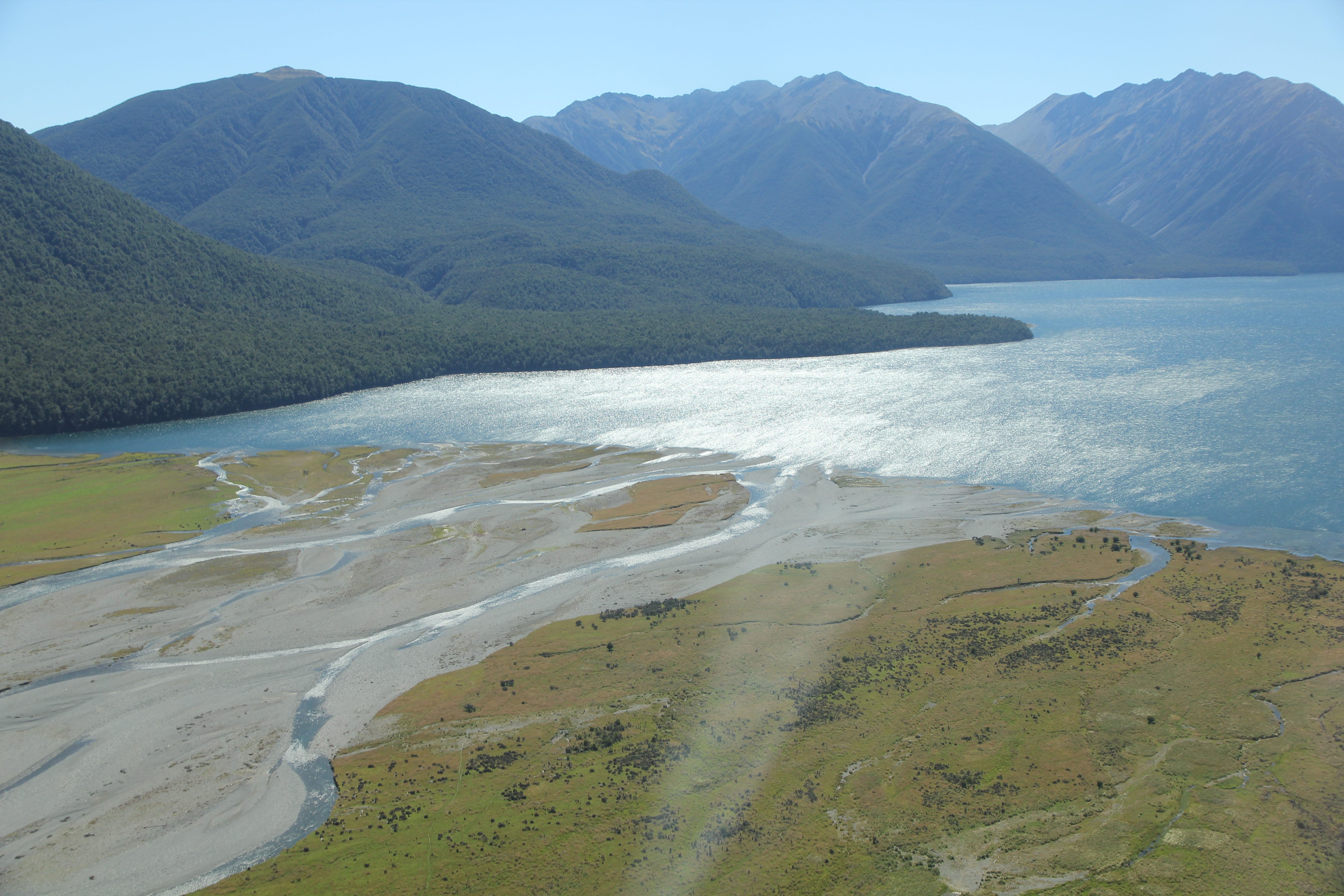 Lake Sumner Hurunui North Branch Delta