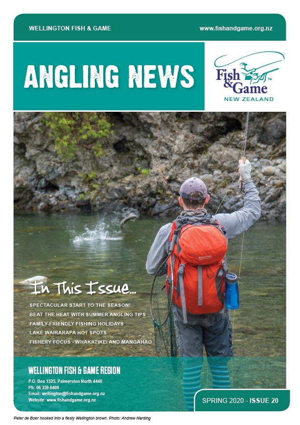 Nletter cover WR19Nov2020