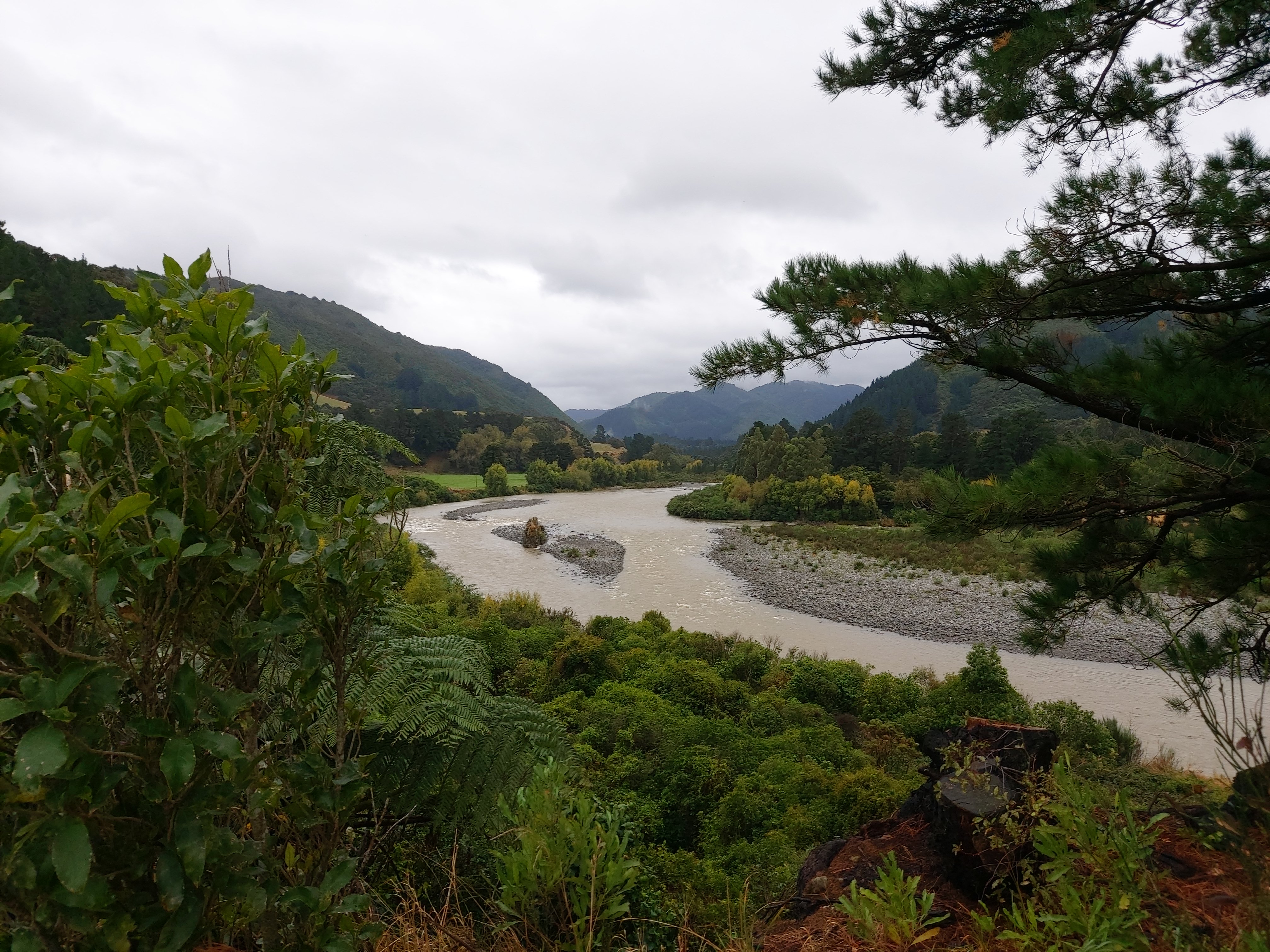 Waiohine 60cumecs Gorge