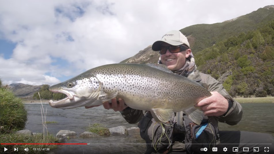 Video Purefly WR11Nov2021