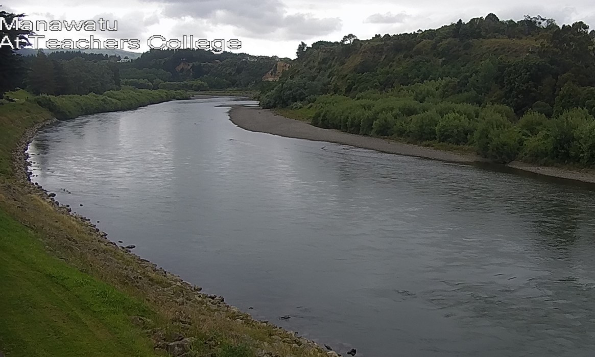 Manawatu Teachers 724mmflow