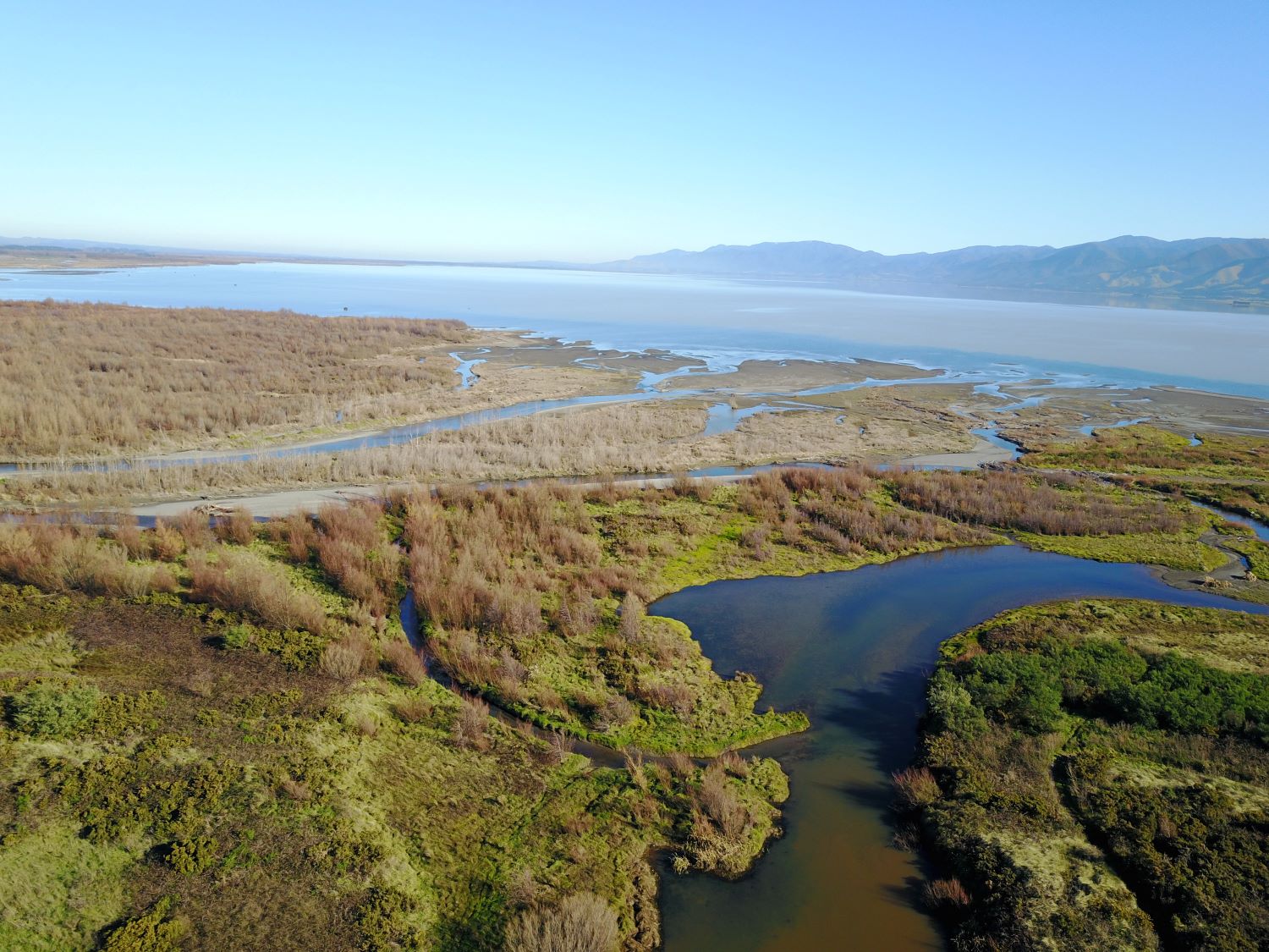Oxbows at the Tauherenikau delta Copyright Hamish Carnachana