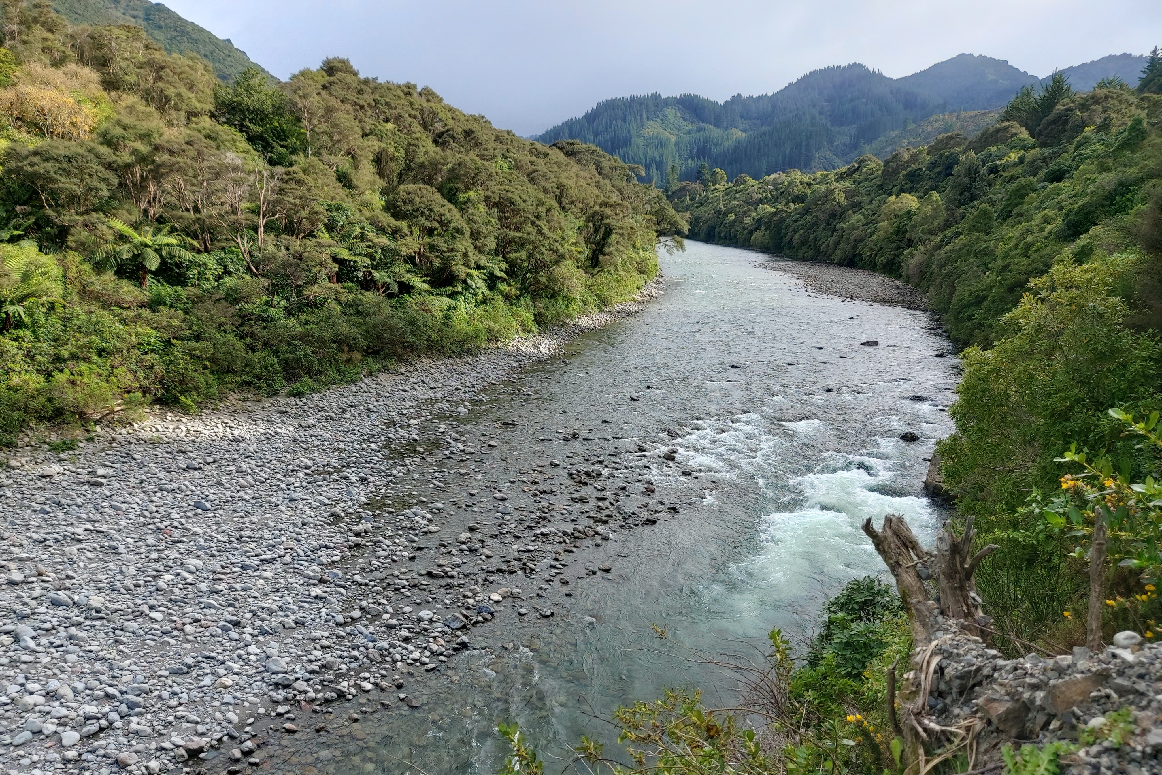 Waiohine 11.3cumecs Gorge WEB