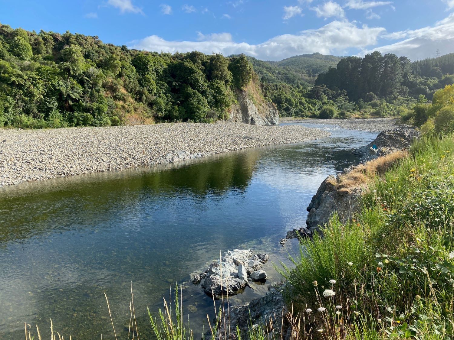 Hutt Whakatikei 3.11cumecsBirchville