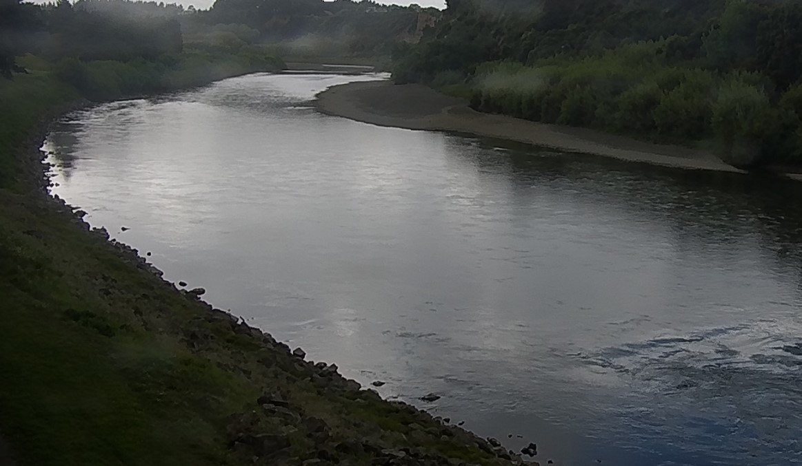 Manawatu Teachers Stage640mm