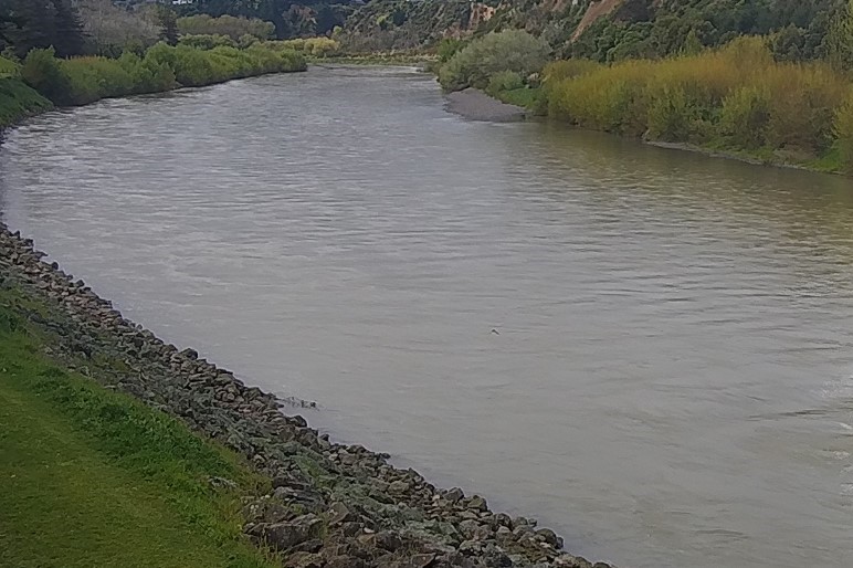 Manawatu Teachers 1318mmWE