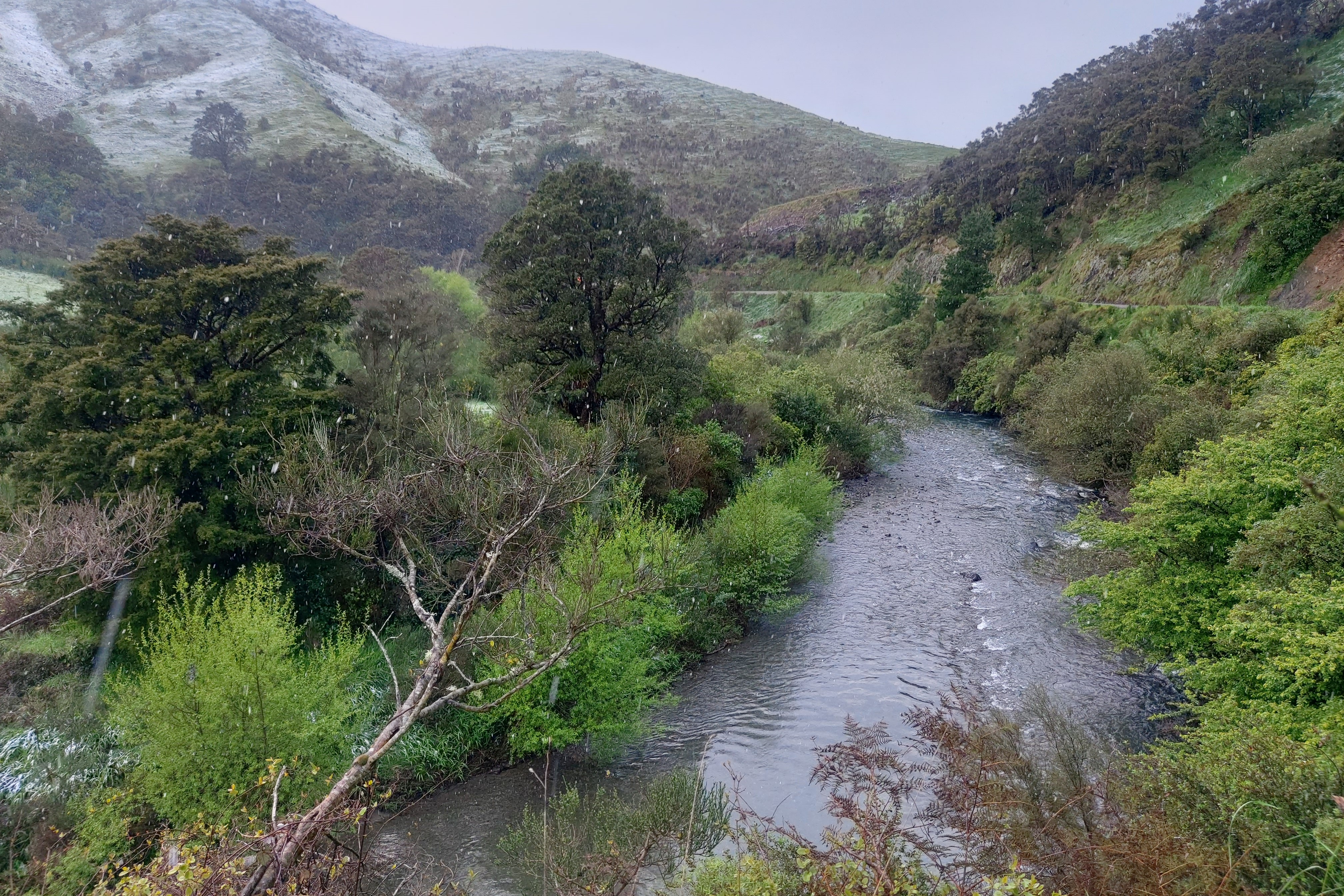 Mangatarere gorge 3.5cums