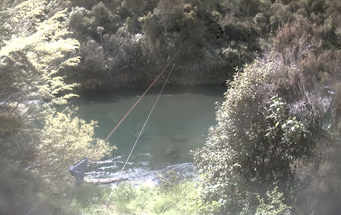 Rangitikei Pukeokahu 3268mmStage Mangaweka