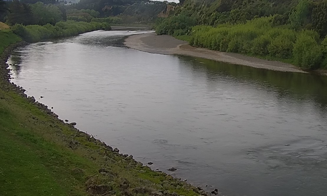 Manawatu Teachers 632mm Stage