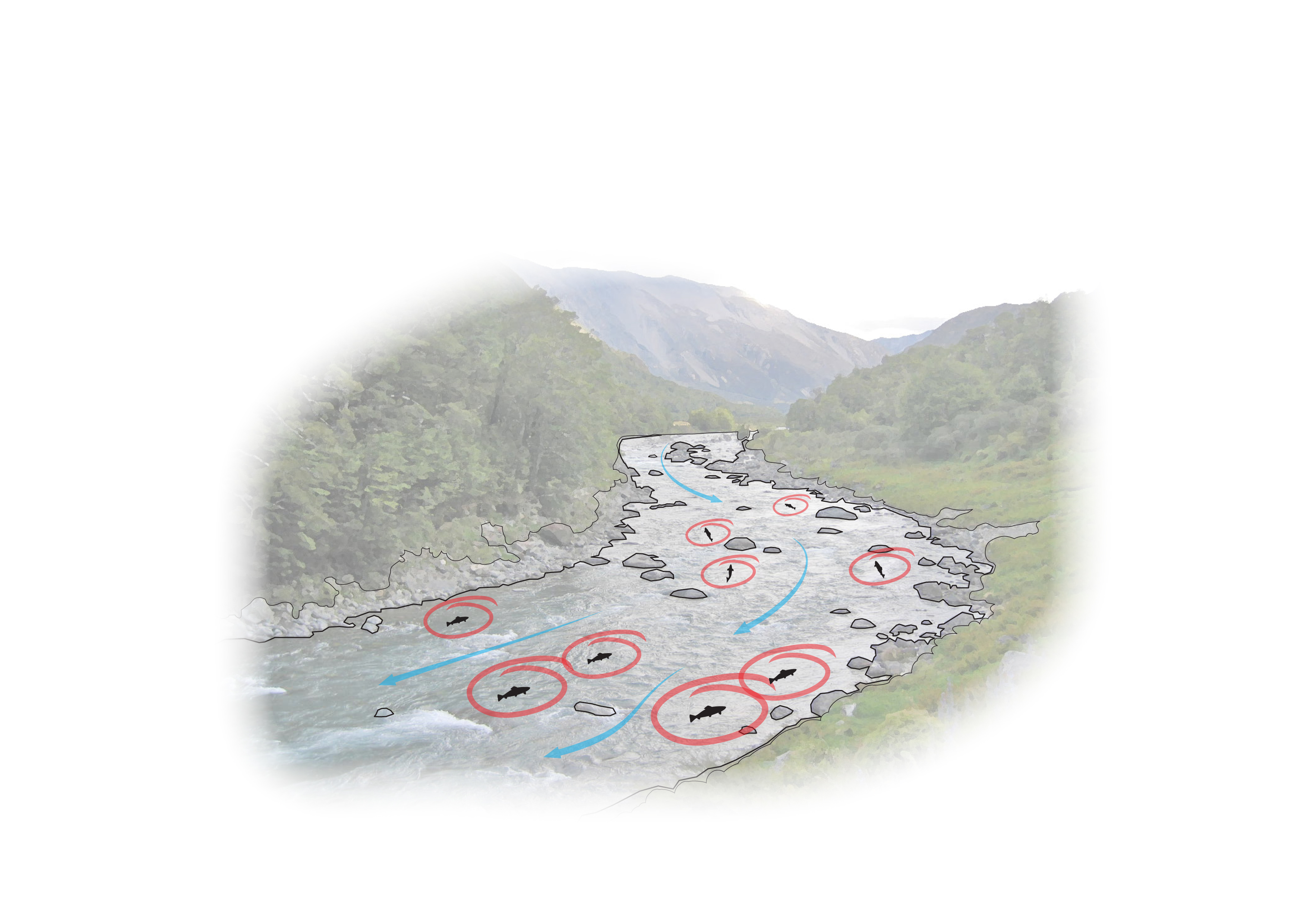 4511 FG River Illustrations 04