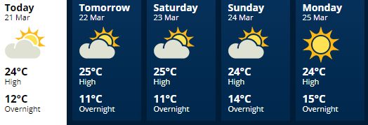 palmerston north