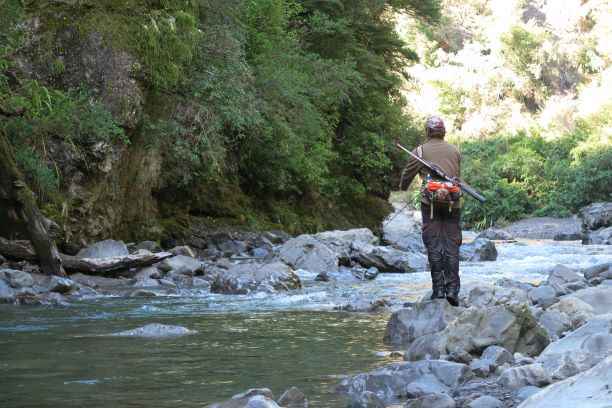 IMG 0489 Copy1