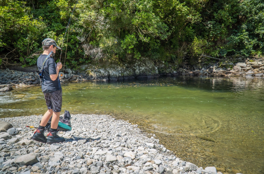 Wellington Weekly Fishing Report - 13 February 2020