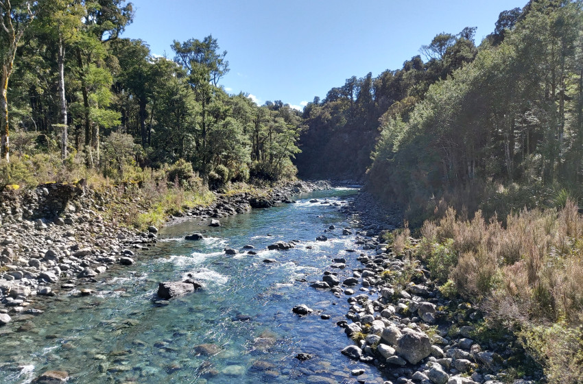 Wellington Weekly Fishing Report - 16 December 2021