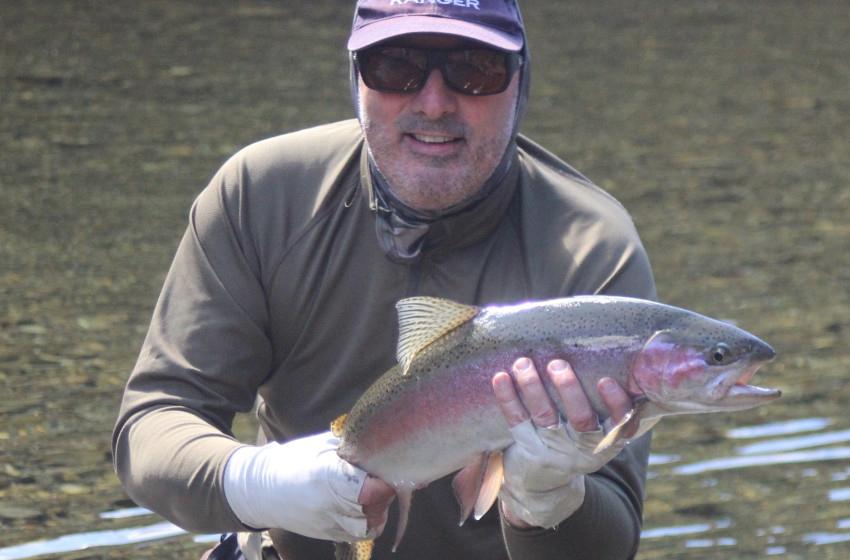 Wellington Weekly Fishing Report - 17 December 2020