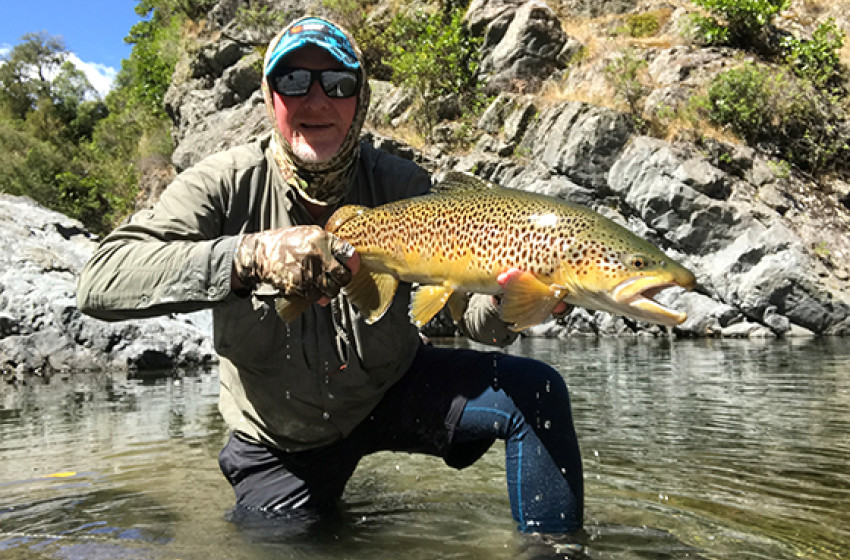 Wellington Weekly Fishing Report - 19 March 2020