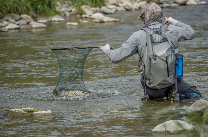 Wellington Weekly Fishing Report - 22 October 2020