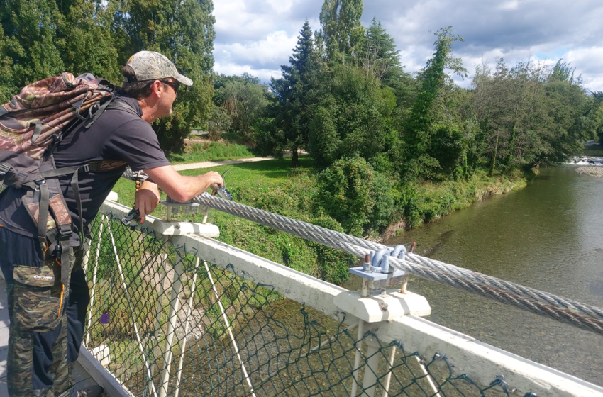 Wellington Weekly Fishing Report - 23 February 2023