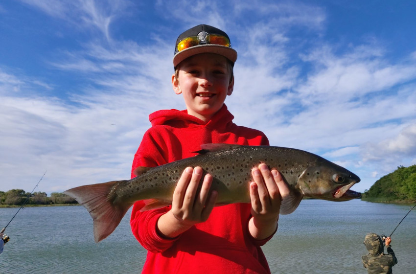 Wellington Weekly Fishing Report - 25 November 2021
