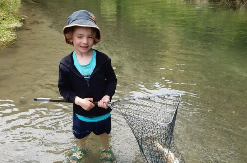 Wellington Weekly Fishing Report - 26 January 2023