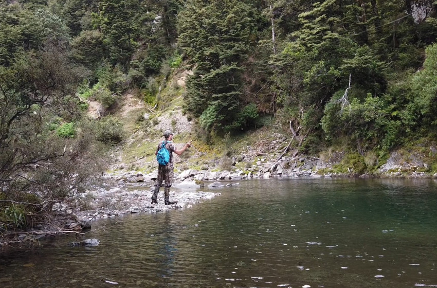 Wellington Weekly Fishing Report - 26 March 2020