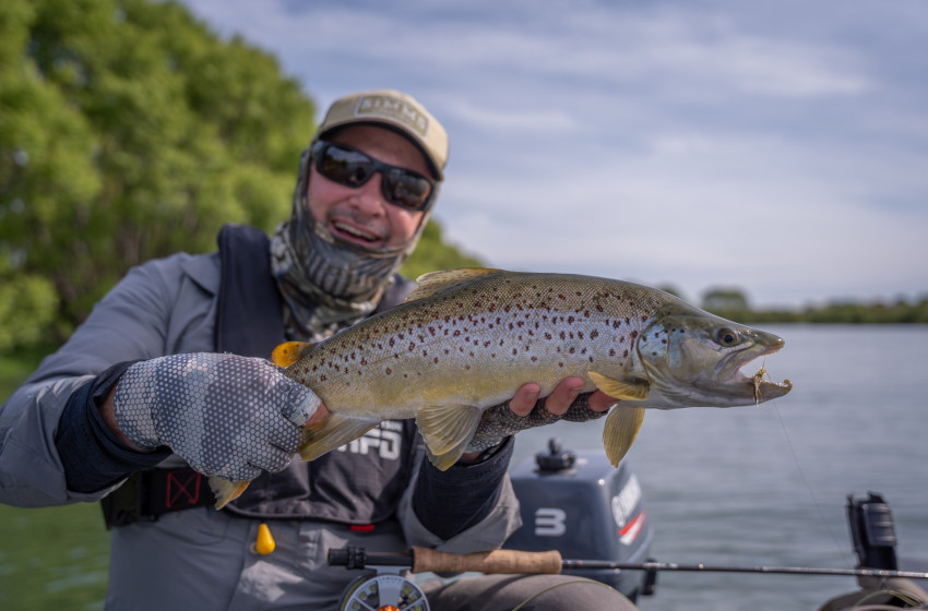 Wellington Weekly Fishing Report - 27 October 2022
