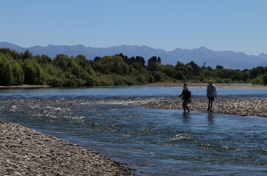 Wellington Weekly Fishing Report - 28 January 2021