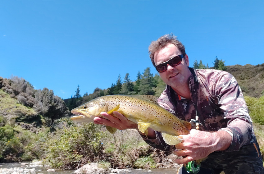 Wellington Weekly Fishing Report - 29 October 2020