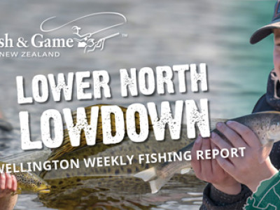 wellington weekly fishing report sep20 v3