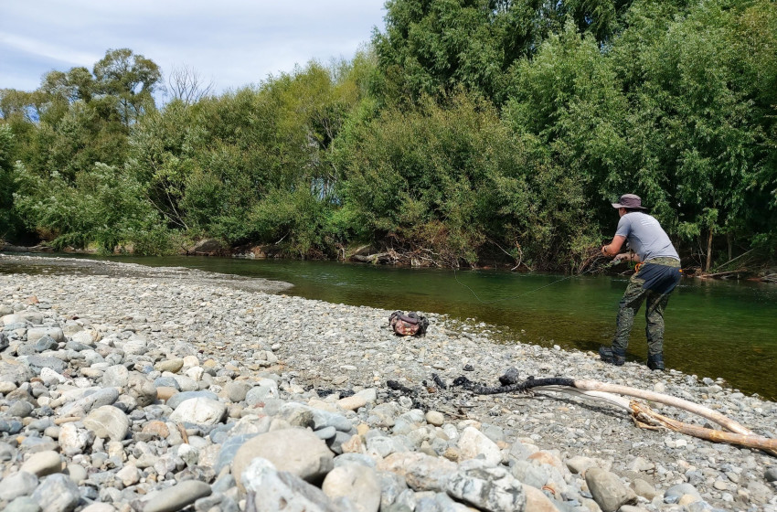 Wellington Weekly Fishing Report - 4 March 2021