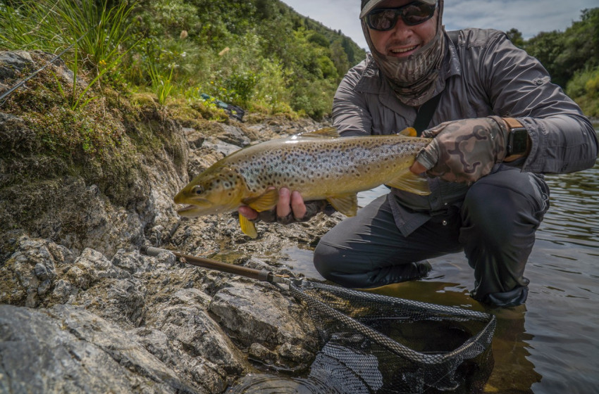 Wellington Weekly Fishing Report - 5 February 2020