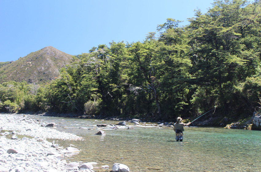 Wellington Weekly Fishing Report - 8 October 2020