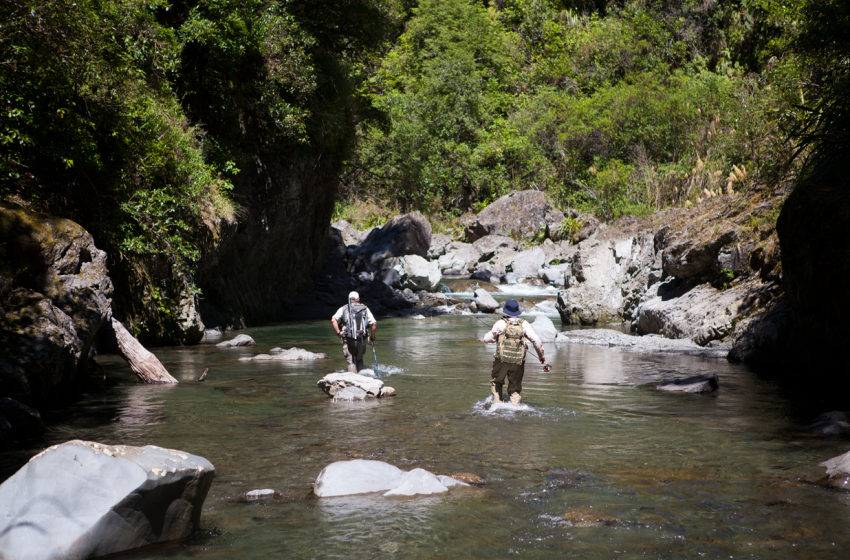 Wellington Weekly Fishing Report - 9 February 2023