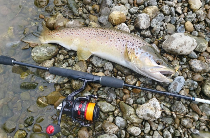 Wellington Weekly Fishing Report - November 18, 2021