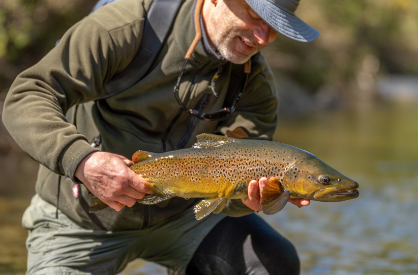 Wellington Weekly Fishing Report - October 14, 2021