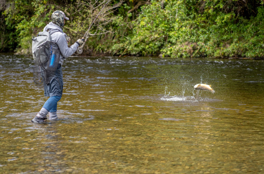 Wellington Weekly Fishing Report - October 28, 2021
